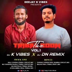 HAI ASUTHILA (TRIBAL REMIX) DJ K VIBES Nd DJ DN REMIX-(OdiaDjs.In).mp3