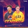 Senorita (Xv Tapori Mix) Dj Santosh Patel Nd Dj Dinesh Patel (OdiaDjs.In)