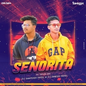 Senorita (Xv Tapori Mix) Dj Santosh Patel Nd Dj Dinesh Patel-(OdiaDjs.In).mp3