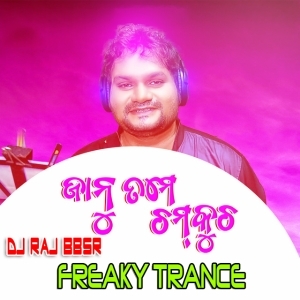 JANU TAME CHAMKUCHA (FREAKY TRANCE MIX) DJ RAJ BBSR-(OdiaDjs.In).mp3