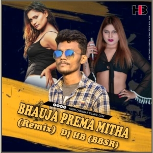 Bhauja Prema Mitha (Remix) Dj HB BBSR-(OdiaDjs.In).mp3