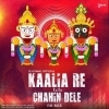 Kaalia Re Tote Chahin Dele (Re Mix) Dj Kunal Official (OdiaDjs.In)