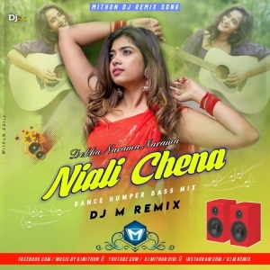 Dekha Narama Narama Niali Chena (Odia Item Song Dance Blast) Dj M Remix-(OdiaDjs.In).mp3