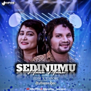 Sedinu Mu Hunu Hunu (Edm X Tapori) Dj Harish Rmx-(OdiaDjs.In).mp3