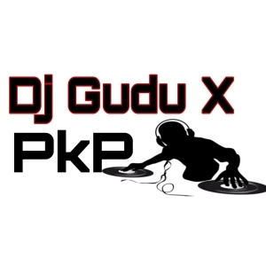 Ranga Lata (Humming) Dj Gudu x Pkp-(OdiaDjs.In).mp3