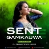 Sent Gamkauwa (Bhojpuri Remix) Dj Pravat Exclusive (OdiaDjs.In)