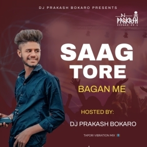 Saag Tore Jahe Bagan Me (Tapori Vibration) Dj Prakash Bokaro-(OdiaDjs.In).mp3
