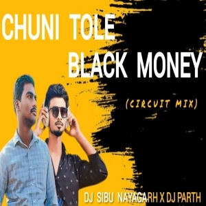 Chuni Tole Blackmoney (Circuit Mix) Dj Sibu Nayagarh X Dj Parth Final-(OdiaDjs.In).mp3
