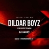 DILDAR BOYZ PRIVATE TRACK (NAUGHTY BASS MIX) DJ HARRY (OdiaDjs.In)