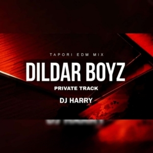 DILDAR BOYZ PRIVATE TRACK (NAUGHTY BASS MIX) DJ HARRY-(OdiaDjs.In).mp3