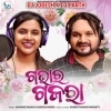 GHAVARA GAJARA (EDM TOPARI MIX) DJ JOGESH X DJ PARTH (OdiaDjs.In)