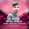TU BAGHA HEI JA OLD ODIA (TAPORI VIBRATION DANCE MIX) DJ MANAS KARANJIA (OdiaDjs.In)