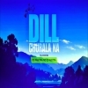 DIL CHURALA NA ( FOLK EDM DROP ) DJ PABITRA ND DJ ADITYA (OdiaDjs.In)
