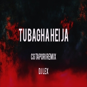 TU BAGHA HEI JA (CG TAPORI REMIX) DJ LEX-(OdiaDjs.In).mp3