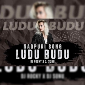LUDU BUDU SAG (TAPORI EDM MIX) DJ ROCKY X DJ SONU-(OdiaDjs.In).mp3