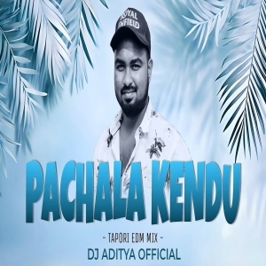 Pachala Kendu (Edm Tapori Mix) Dj Aditya Official-(OdiaDjs.In).mp3