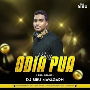 Mun Odia Pua Bhari Swabhimani (Edm Remix) Dj Sibu Naygarh-(OdiaDjs.In).mp3