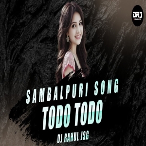 BHAL PAUCHHUN TODO TODO (TAPORI EDM MIX) DJ RAHUL JSG-(OdiaDjs.In).mp3