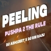 Peelings Pushpa 2 The Rule (Trance Mix) Dj Abhijeet x Dj Rm Raju (OdiaDjs.In)