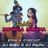 Radha Jauthila Jamuna (Edm x Circuit) Dj Sibu Nayagarh x Dj Papu Official (OdiaDjs.In)