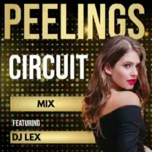 PEELINGS (CIRCUIT MIX) DJ LEX-(OdiaDjs.In).mp3