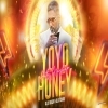 Yo Yo Honey Singh Hits Mashup Millionare X Payal X Brown Rang Dj X Black (OdiaDjs.In)