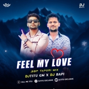 Feel My Love (Sbp Tapori Mix) Dj Titu Gm X Dj Bapi-(OdiaDjs.In).mp3