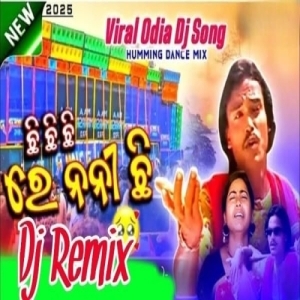 Chi Chi Re Nani Viral Odia Song (Fadu Tapori Style Mix) Dj Aju Basudevpur-(OdiaDjs.In).mp3