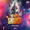 OM NAMAH SHIVAYE (ORIGINAL MIX) DJ BABA OFFICIAL (OdiaDjs.In)