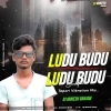 Ludu Budu (Tapori Vaibrate) Dj MuKEsh GaNJam (OdiaDjs.In)