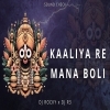 KAALIYA RE MANA BOLI TORA KICHI NAHI (SOUND CHECK) DJ ROCKY X DJ R3 (OdiaDjs.In)