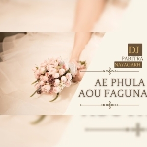 AE PHULA AOU FAGUNA TUMARI PAIN (UT VIBRATION MIX) DJ PABITRA NAYAGARH-(OdiaDjs.In).mp3