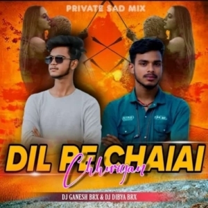 TOONE DIL KE RAKHIB (SAD MIX) DJ GANESH BRX FT DJ DIBYA BRX-(OdiaDjs.In).mp3