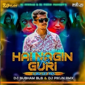 HAI RE NAGIN GURI (CIRCUIT MIX) DJ SUBHAM BLS x DJ PIKUN-(OdiaDjs.In).mp3