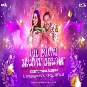 Dil Bilei Meow Meow (Circuit Tribal Paradise) Dj Subham Bbsr x Dj Mental Official-(OdiaDjs.In).mp3