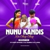 NUNU KANDIS NA (CIRCUIT MIX) DJ NANDA X ITS SMP OFFICIAL X DJ JONA (OdiaDjs.In)