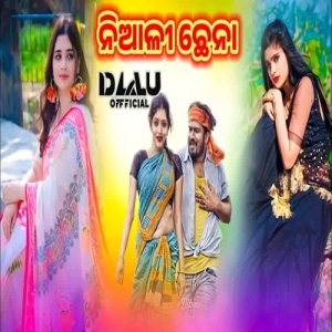 Narama Narama Niali Chhena (Circuit Mix) Dj Lalu Official-(OdiaDjs.In).mp3