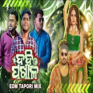 Dahi Pakhala (Odia Tapori Edm Mix) Dj Parida Bhai X Dj Abhi Rkl-(OdiaDjs.In).mp3