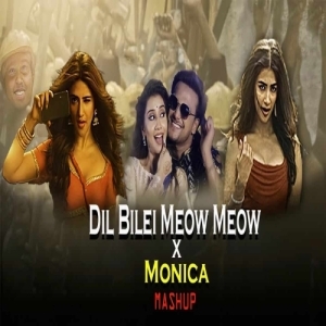 Dil Bilei Meow Meow X Monica (Odia X South Funky Dance Mashup) Dj Papul-(OdiaDjs.In).mp3