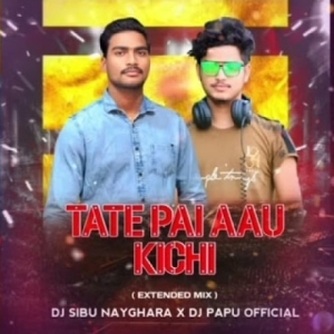 Tate Pai Aau Kichi Nahi Paibara (Extended Mix) Dj Papu Official x Dj Sibu Nayagarh-(OdiaDjs.In).mp3