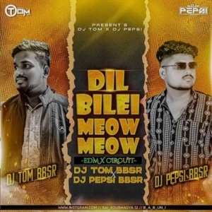 Dil Bilei Meow Meow (Edm X Circuit) Dj Pepsi Bbsr Nd Dj Tom Bbsr-(OdiaDjs.In).mp3