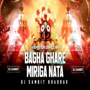BAGHA GHARE MIRIGA NATA (DANCE MIX) DJ SAMBIT BHADRAK-(OdiaDjs.In).mp3