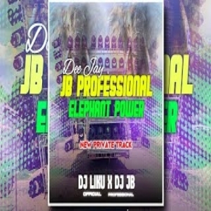 DJ JB PROFESSIONAL NEW PRIVATE TRACK ELEPHANT POWER - DJ LIKU OFFICIAL X DJ JB PROFESSIONAL-(OdiaDjs.In).mp3