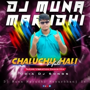 Chaluchu Hali Hali (Tapori Vibration Mix) DJ Muna Marudhi-(OdiaDjs.In).mp3