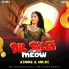 Dil Bilei Meow Meow (Mashup Remix) A3Noiz Ft Mr Rz (OdiaDjs.In)