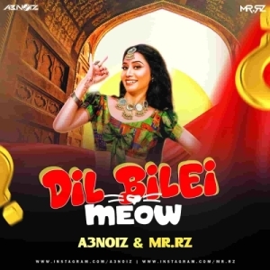 Dil Bilei Meow Meow (Mashup Remix) A3Noiz Ft Mr Rz-(OdiaDjs.In).mp3
