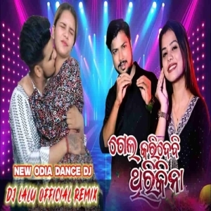 Arua Chaula Chuna Tate Gela Karidebi Thiri Kina (New Odia Dance Song) Dj Lalu Official-(OdiaDjs.In).mp3