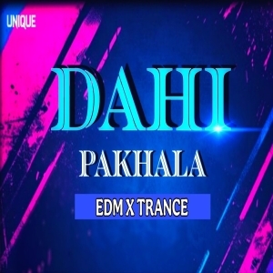Dahi Pakhala (Edm Trance Mix) Dj Unique Bbsr-(OdiaDjs.In).mp3