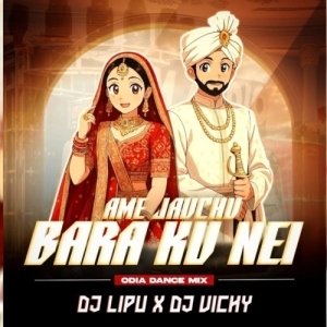 Aame Jauchu Baraku Nei (Odia Dance Mix) Dj Lipu X Dj Vicky-(OdiaDjs.In).mp3