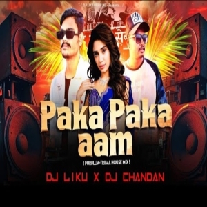 Paka Paka Aam (Purullia Tribal House Mix) Dj Liku X Dj Chandan.mp3